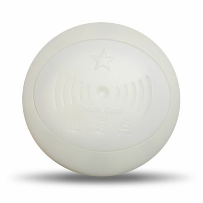 Checkpoint RFID Tags